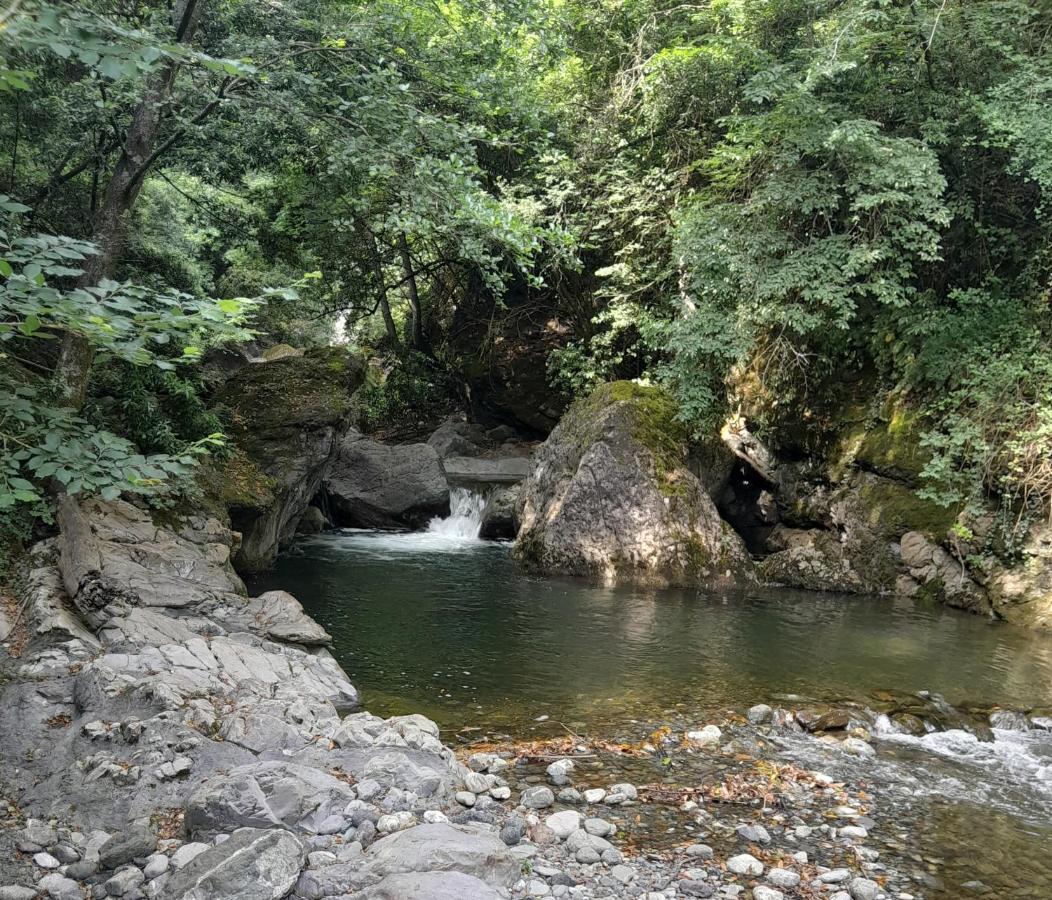 Villa Casa Ylenia Borzonasca Esterno foto